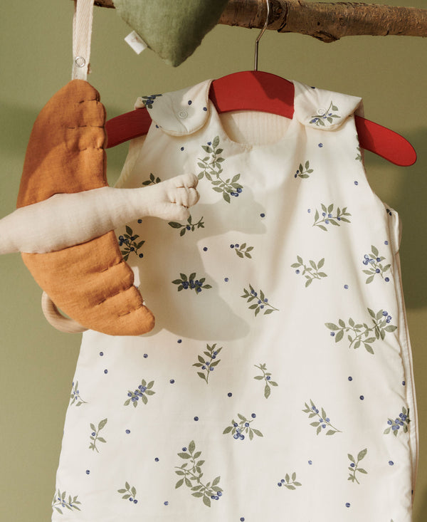 Wind Schlafsack, Blueberries