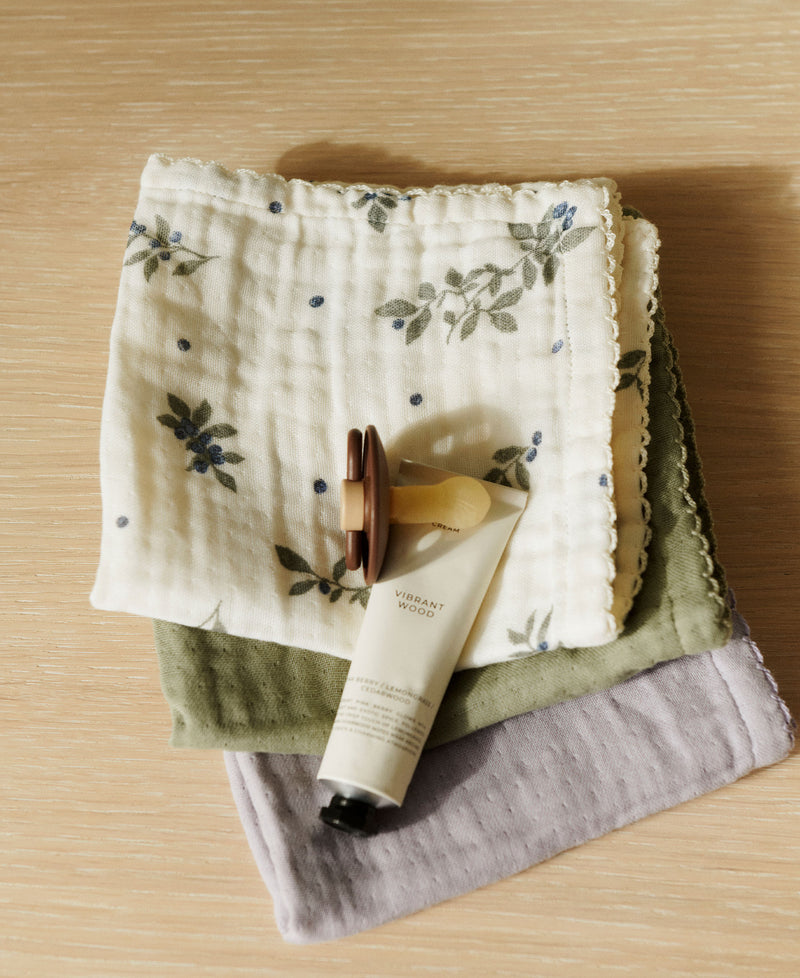 Ren Waschlappen, Blueberries Mix