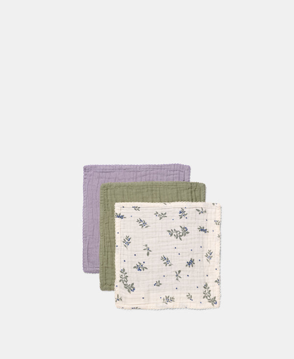 Ren Waschlappen, Blueberries Mix